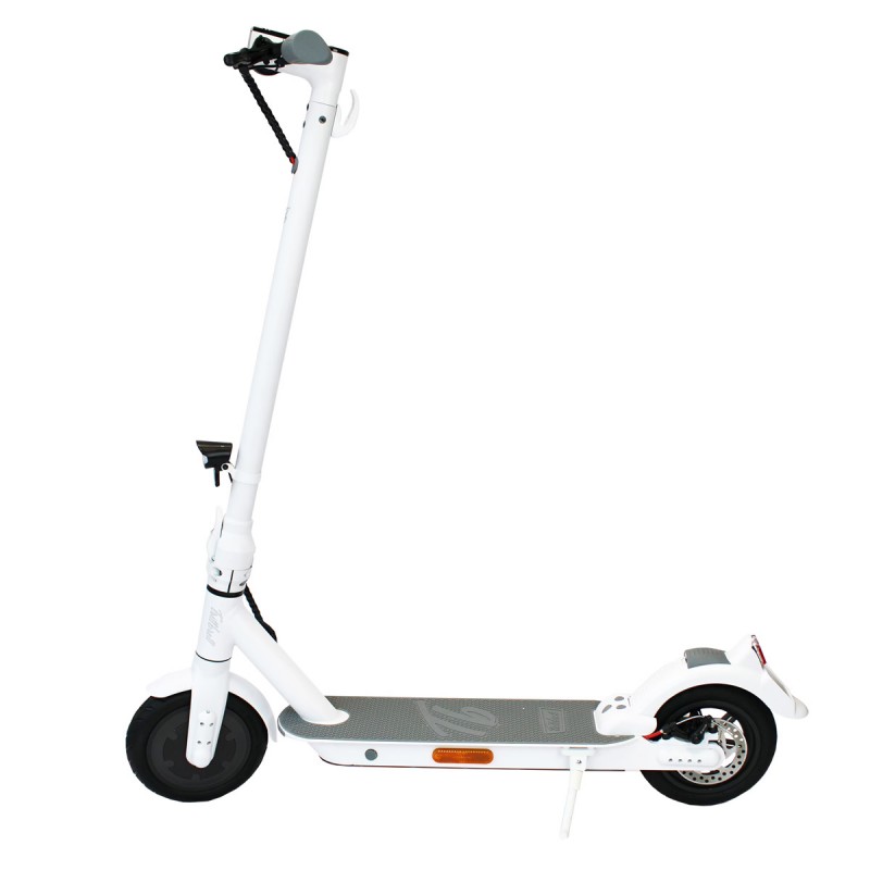 Trittbrett E-Scooter Emma City Reifen und Schlauch Wechsel Service Vorne