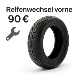 Teverun Fighter Mini Pro – Reifenwechsel vorne