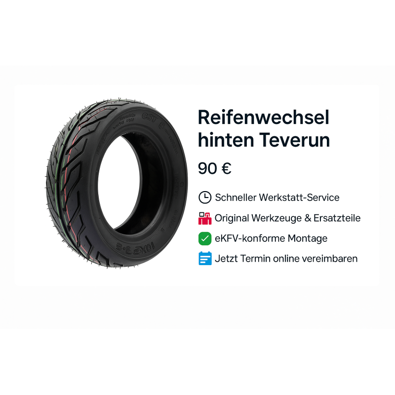 Teverun Fighter Mini Pro – Reifenwechsel hinten (Service)